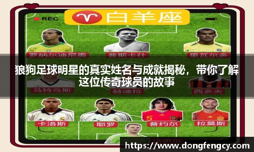 狼狗足球明星的真实姓名与成就揭秘，带你了解这位传奇球员的故事